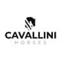 logo-klein-cavallini